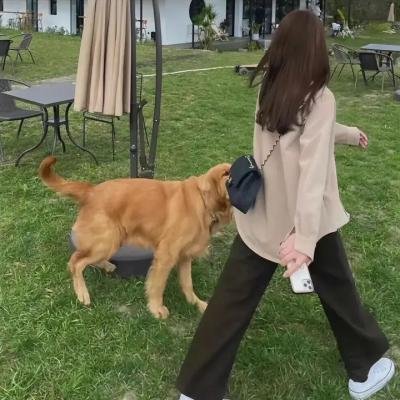 警中青春