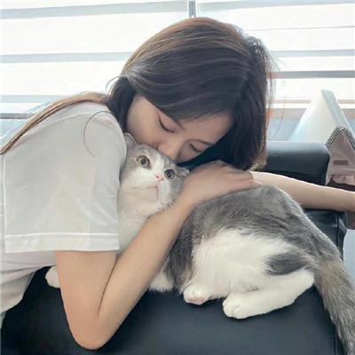 好莱坞以北